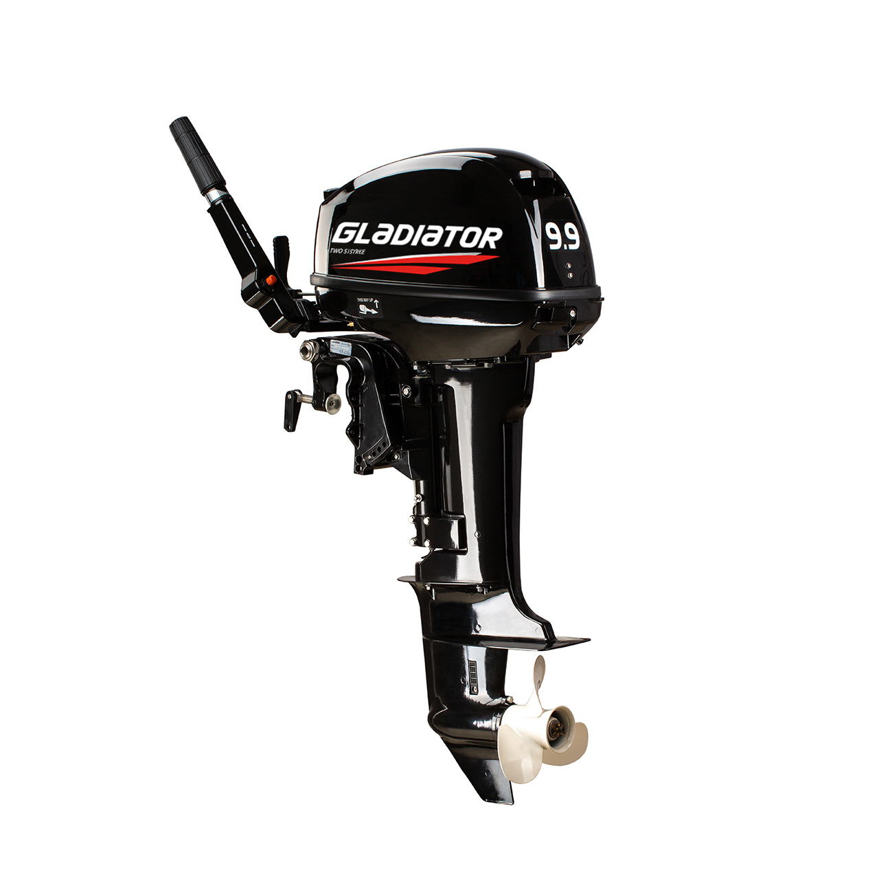 ЛОДОЧНЫЙ МОТОР GLADIATOR G9.9FHS в Арзамасе