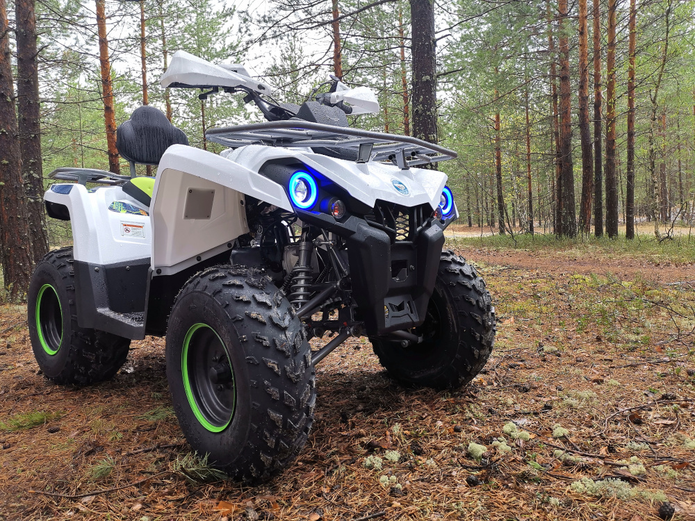 Квадроцикл PROMAX RENEGADE 280 (2025) в Арзамасе