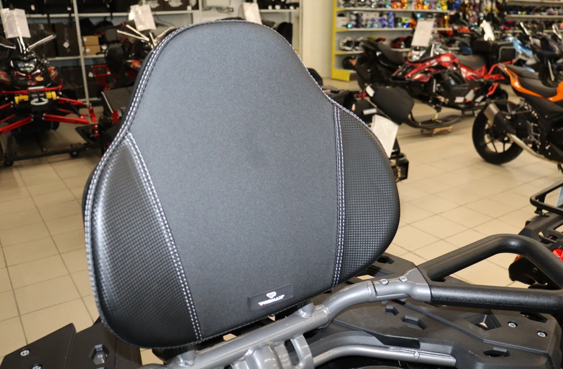 Квадроцикл PROMAX RENEGADE 300 LONG WINCH PRO (2025) в Арзамасе