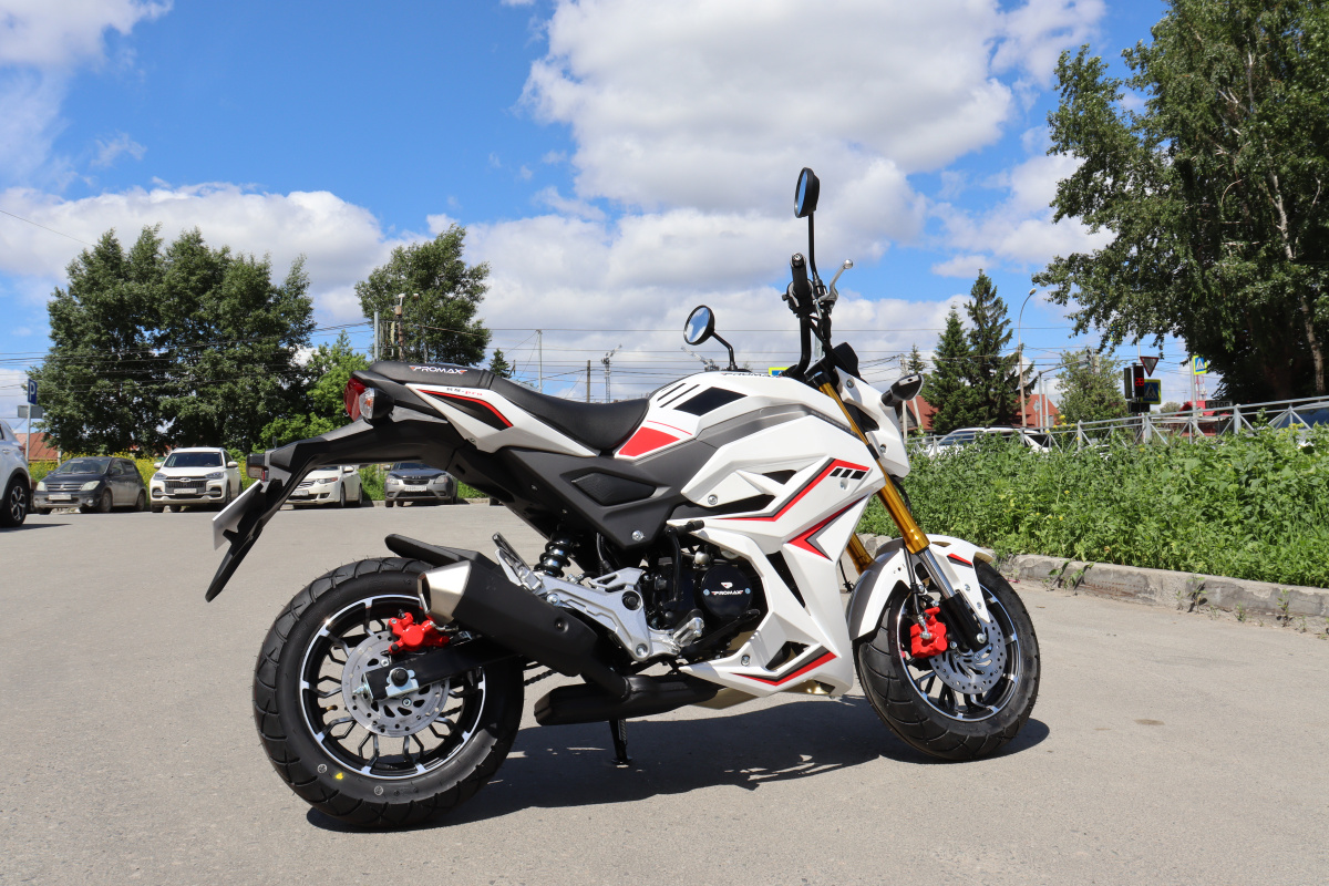 Мотоцикл PROMAX STRYKER 200(49) 2.0 в Арзамасе