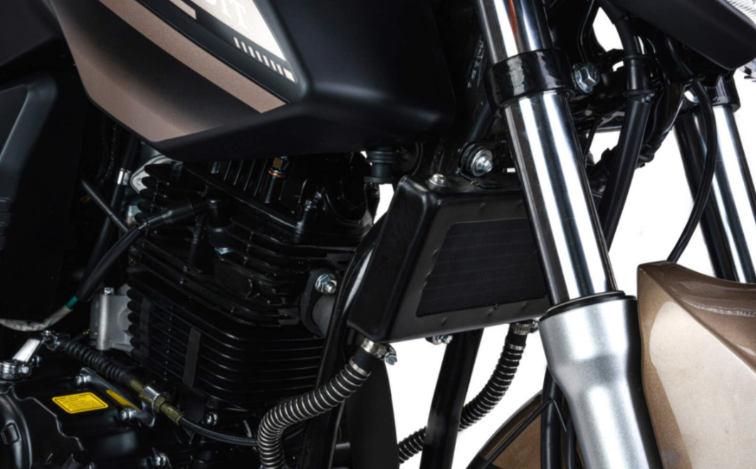 Мотоцикл MOTOLAND (МОТОЛЕНД) 300 BANDIT в Арзамасе