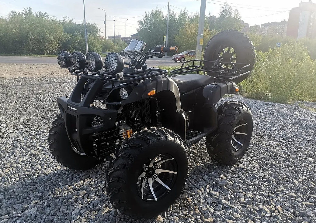 Квадроцикл PROMAX LEO 300 Max (кардан) в Арзамасе