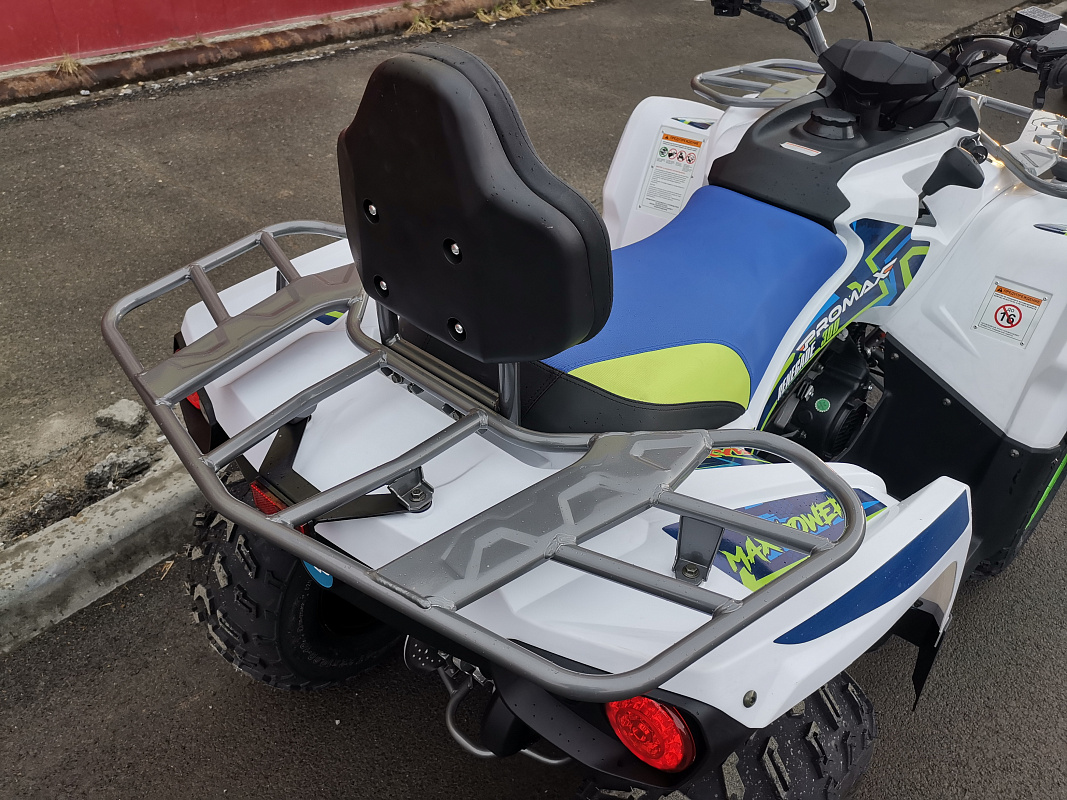 Квадроцикл PROMAX RENEGADE 280 LUX (2025) в Арзамасе