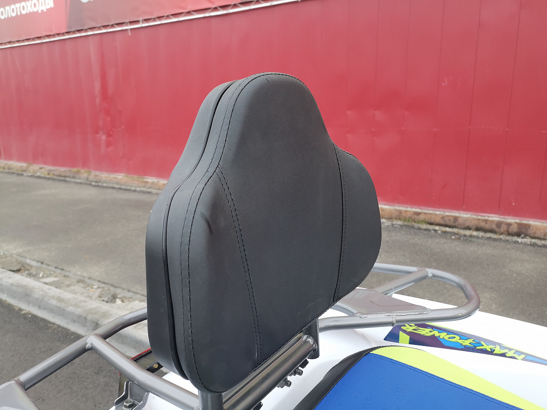 Квадроцикл PROMAX RENEGADE 280 LUX (2025) в Арзамасе