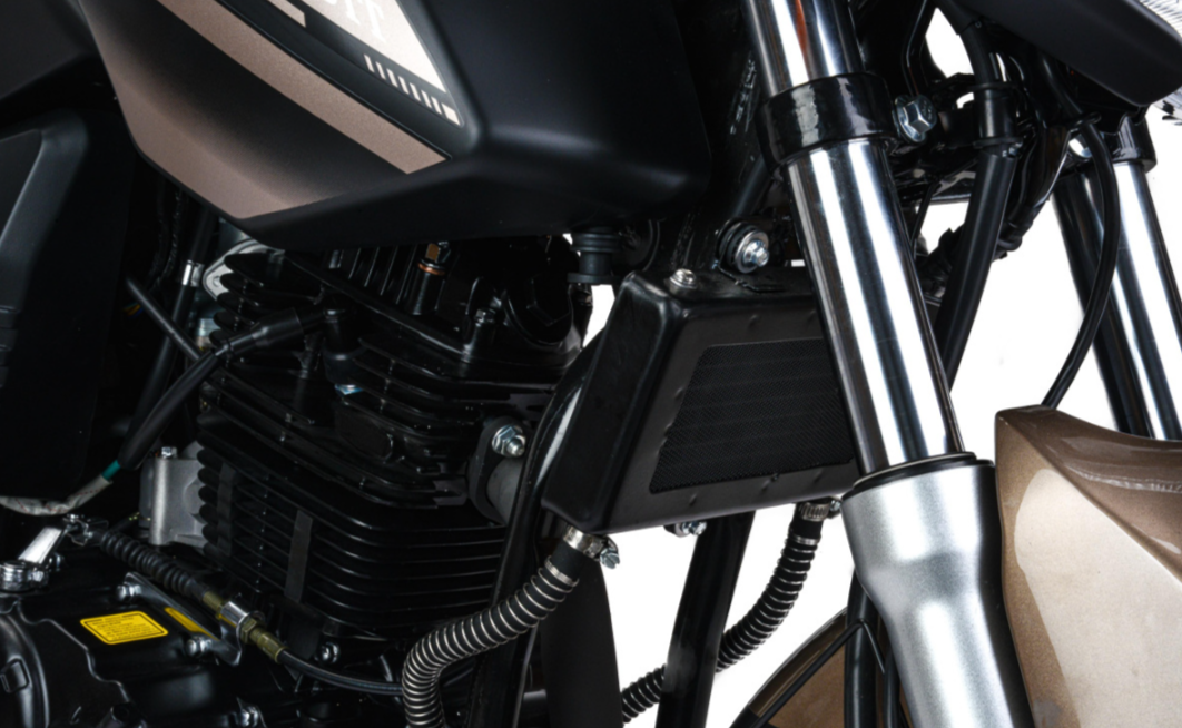 Мотоцикл MOTOLAND (МОТОЛЕНД) 300 BANDIT в Арзамасе