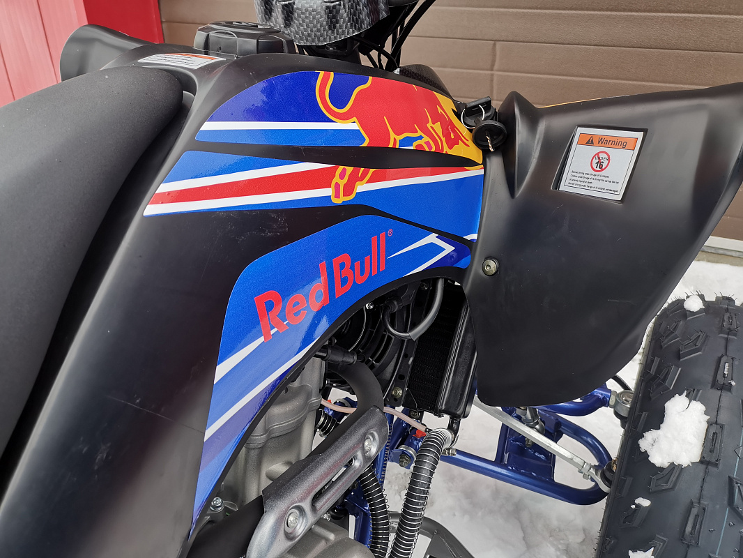 Квадроцикл PROMAX RAPTOR 300 NEW RedBull в Арзамасе