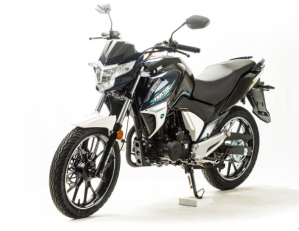 Мотоцикл MOTOLAND (МОТОЛЕНД) FIGHTER 250 в Арзамасе