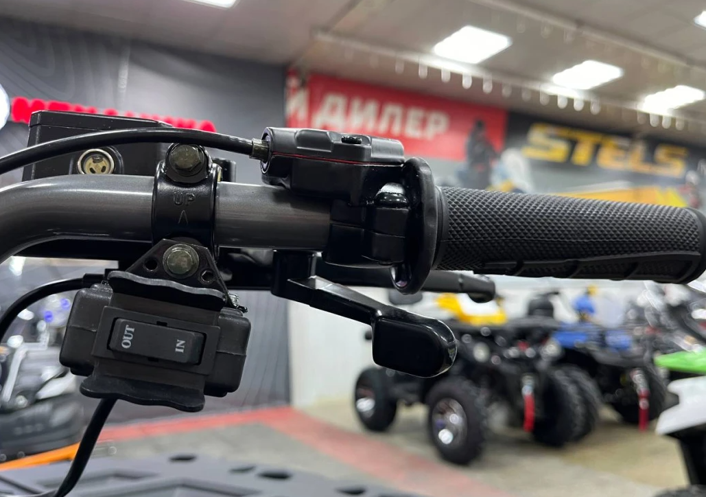 Квадроцикл PROMAX RENEGADE 300 LONG WINCH PRO (2025) в Арзамасе