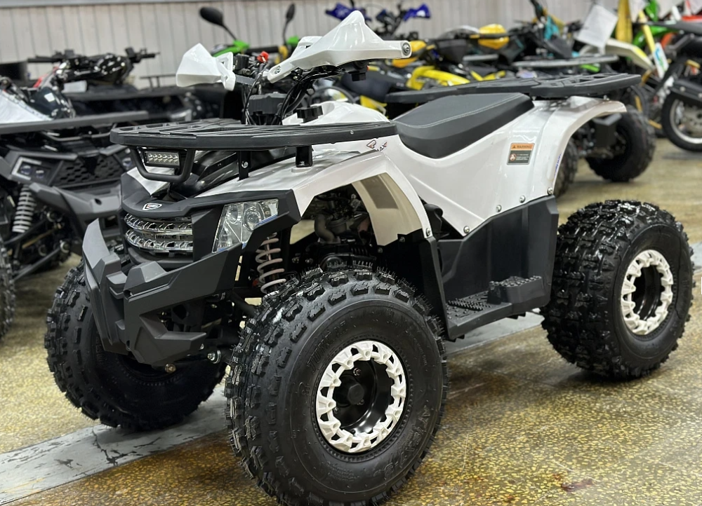 Квадроцикл PROMAX WILD 2.0 190 в Арзамасе