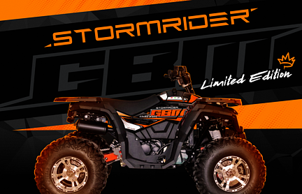 Квадроцикл GBM STORMRIDER 320 NEW LUX в Арзамасе