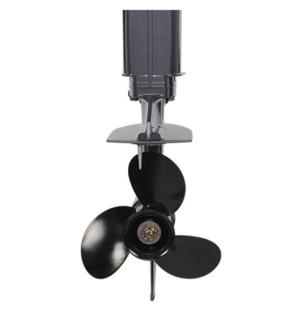 Лодочный мотор ALLFA CG Т40FW S в Арзамасе