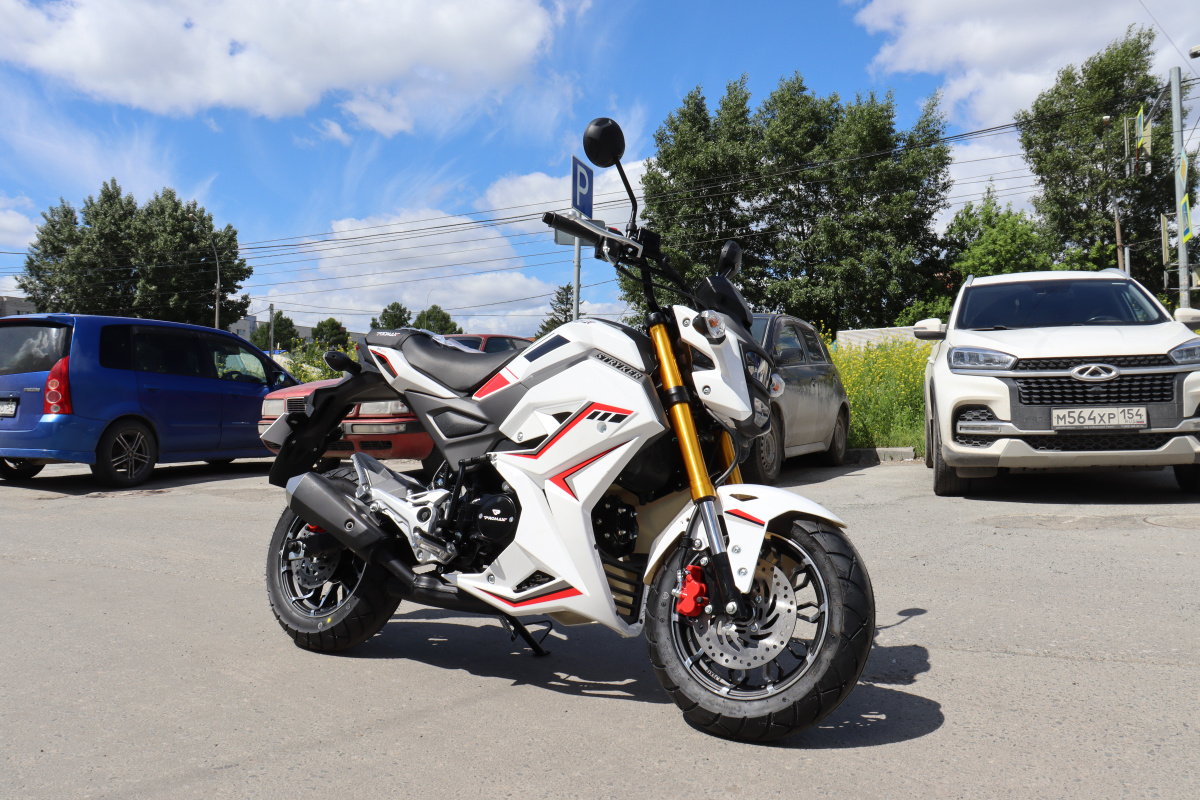 Мотоцикл PROMAX STRYKER 200(49) 2.0 в Арзамасе