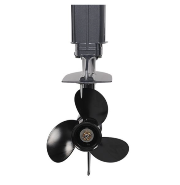 Лодочный мотор ALLFA CG Т40FWT S в Арзамасе