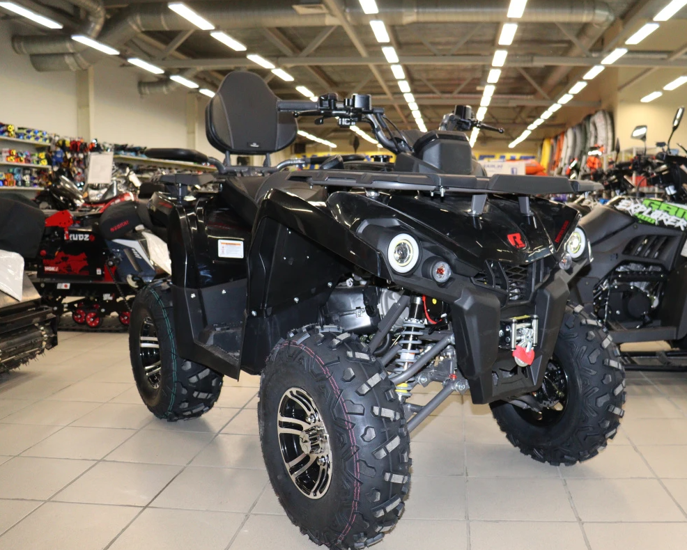 Квадроцикл PROMAX RENEGADE 300 LONG WINCH PRO (2025) в Арзамасе