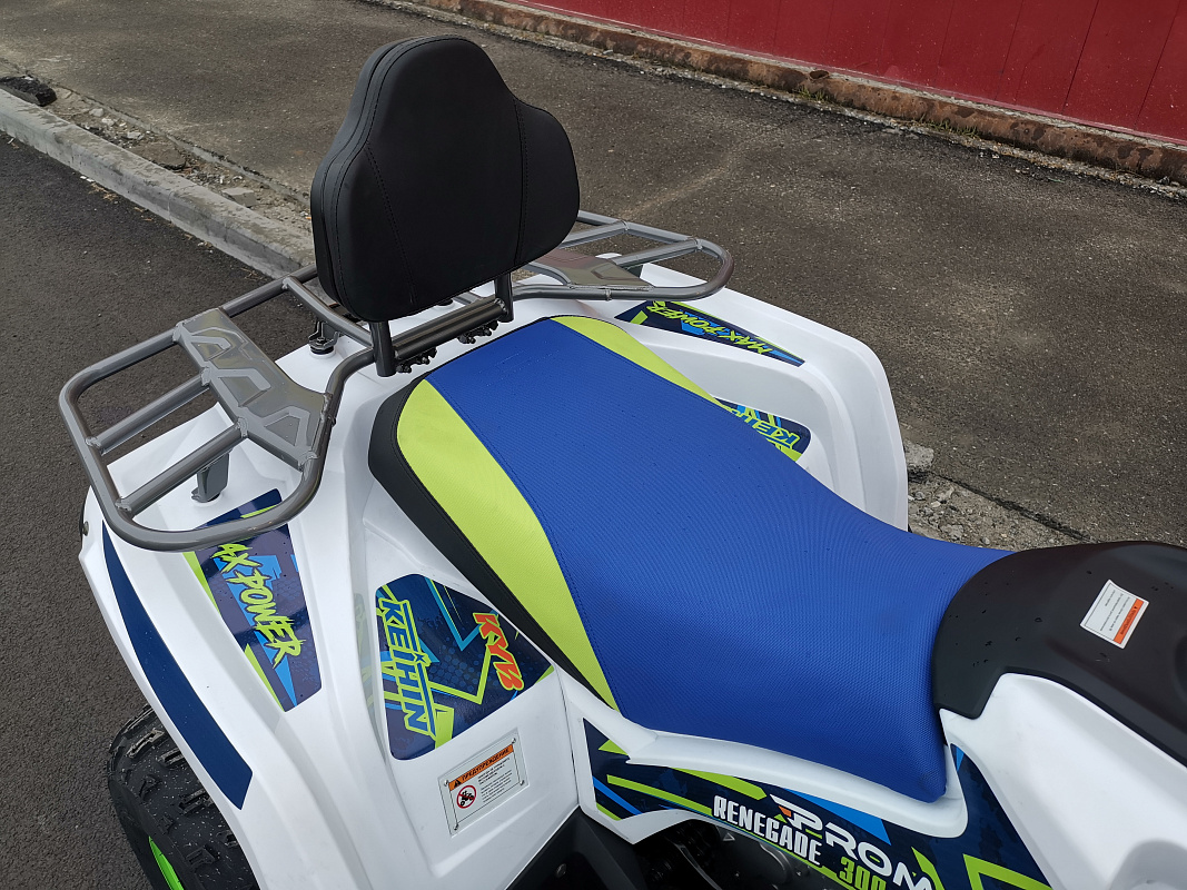 Квадроцикл PROMAX RENEGADE 280 LUX (2025) в Арзамасе