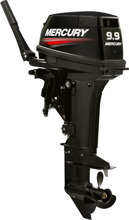 ЛОДОЧНЫЙ МОТОР MERCURY 9.9 MH TMC 247 CC в Арзамасе