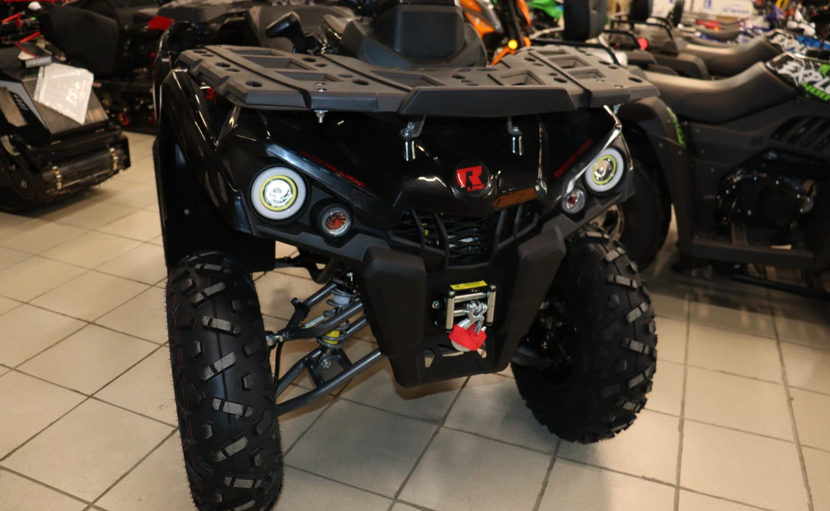 Квадроцикл PROMAX RENEGADE 300 LONG WINCH PRO (2025) в Арзамасе