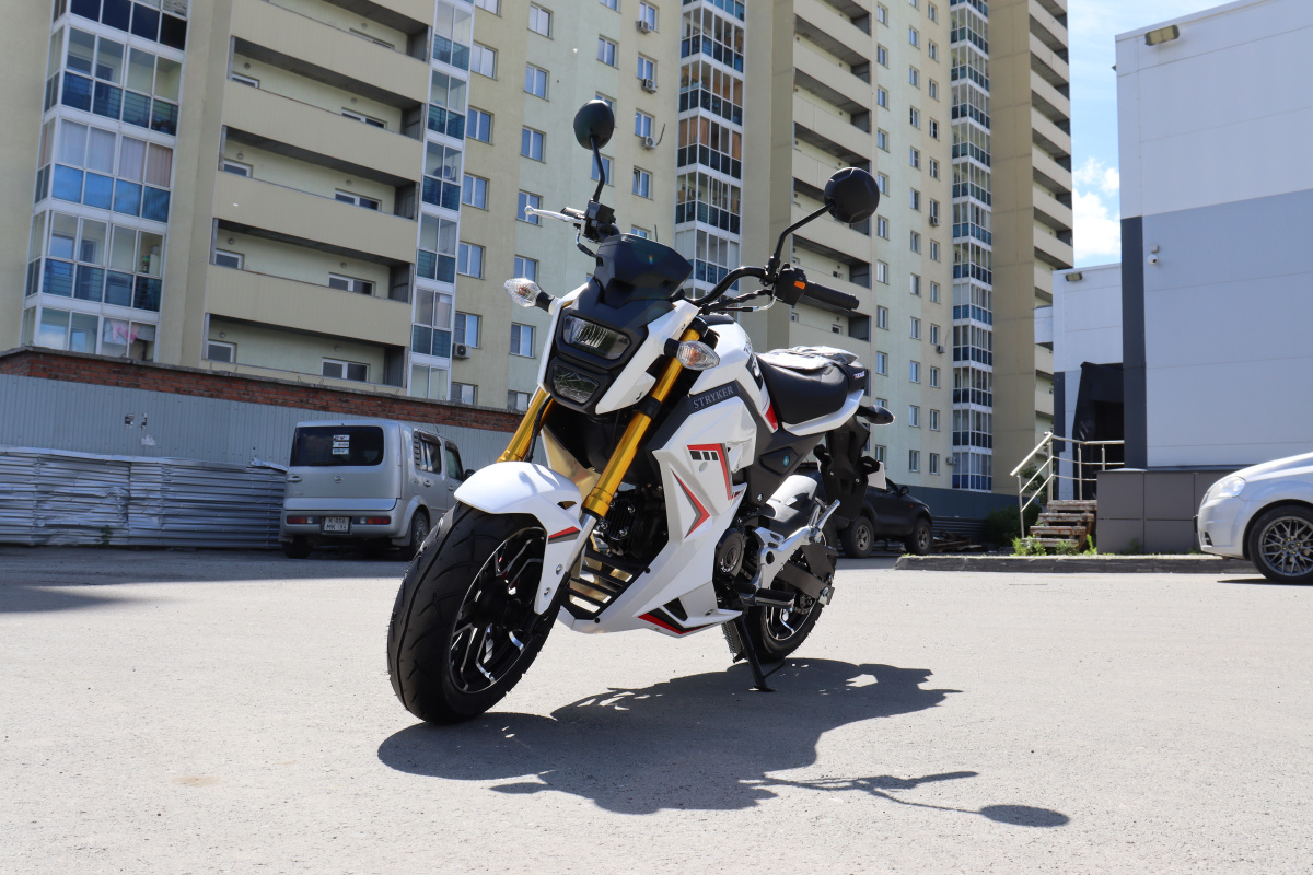 Мотоцикл PROMAX STRYKER 200(49) 2.0 в Арзамасе