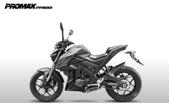 Мотоцикл PROMAX MT300 в Арзамасе