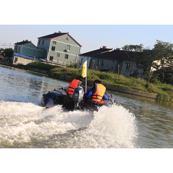 ЛОДОЧНЫЙ МОТОР ALLFA CG Т20 в Арзамасе