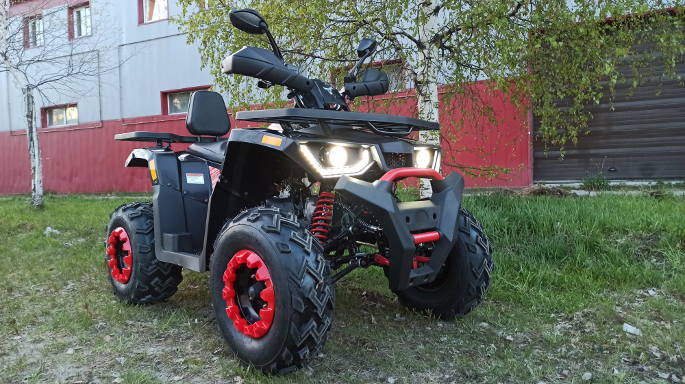 Квадроцикл PROMAX WILD 300 LUX (2024) в Арзамасе