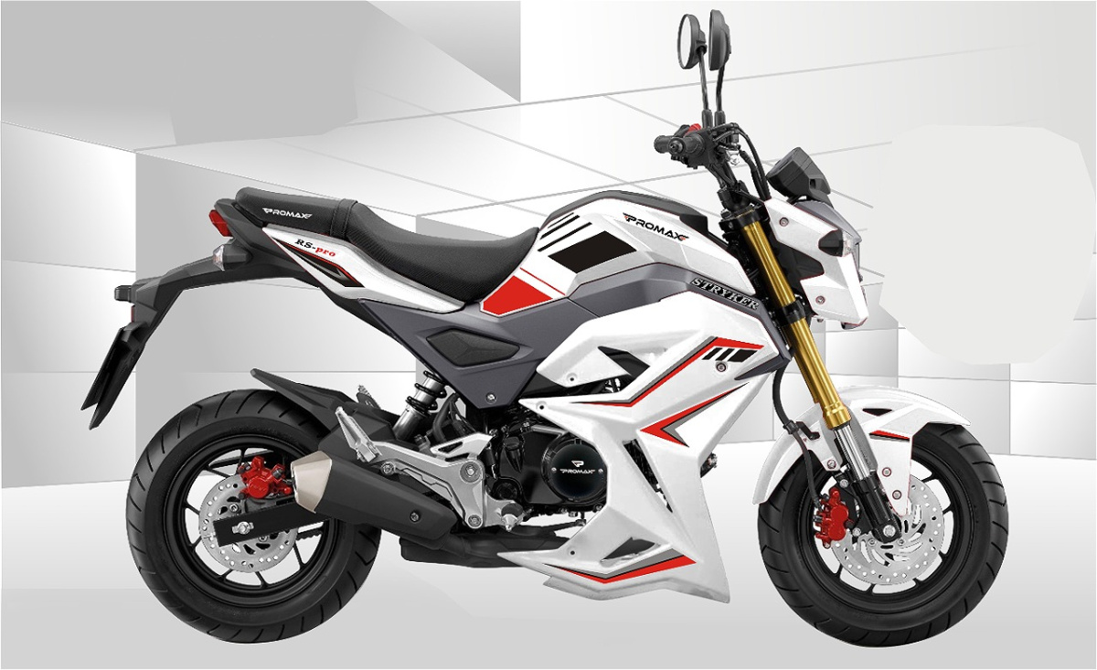 Мотоцикл PROMAX STRYKER 200(49) 2.0 в Арзамасе