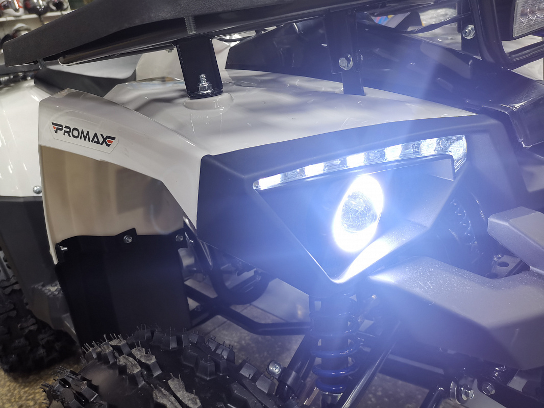 Квадроцикл PROMAX WILD 175 LUX в Арзамасе