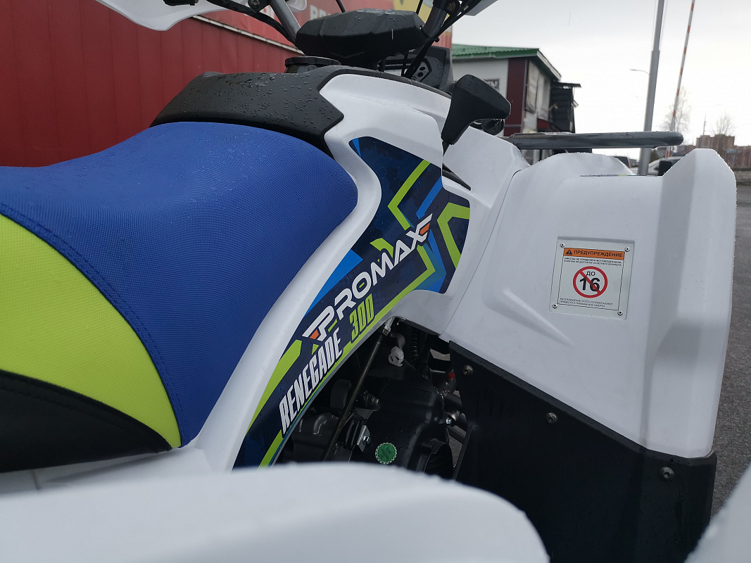 Квадроцикл PROMAX RENEGADE 280 LUX (2025) в Арзамасе