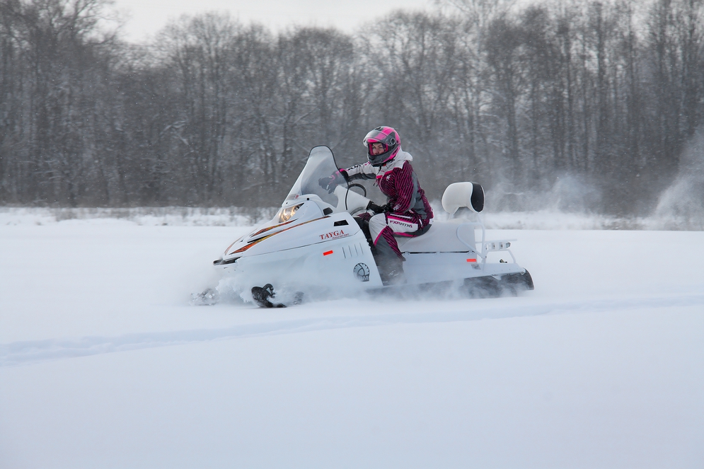 Снегоход Русская механика РМ TAYGA PATRUL 551 SWT в Арзамасе