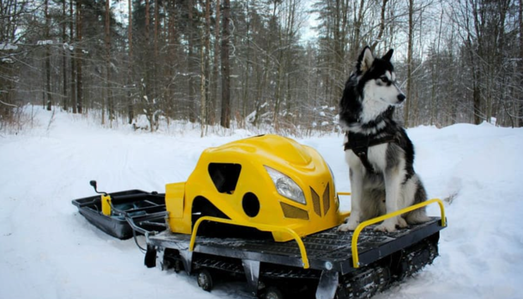 Мотобуксировщик LEBEDEV MOTORS ВОЛКОДАВ POWER V13 в Арзамасе