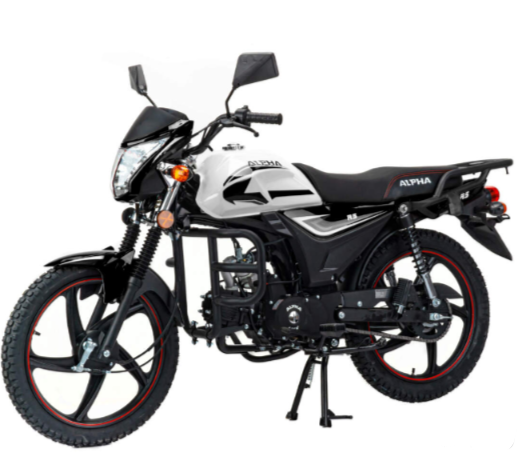 Мопед MOTOLAND (МОТОЛЕНД) Альфа RS 11 (LM48-B) в Арзамасе