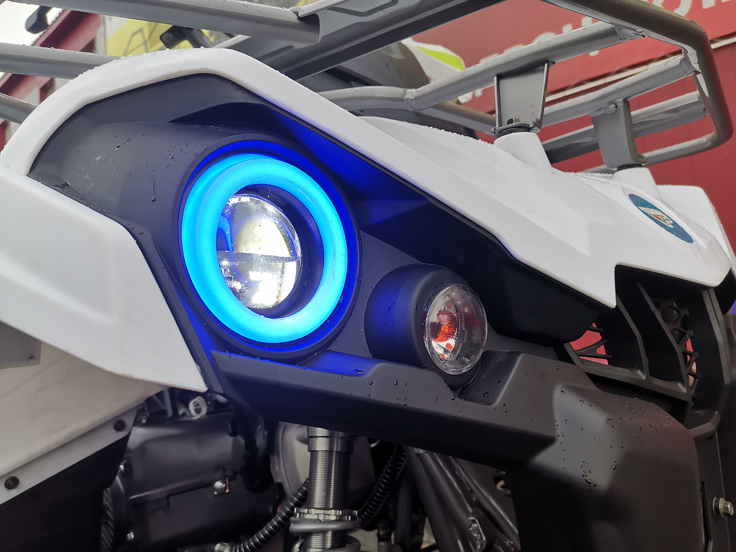 Квадроцикл PROMAX RENEGADE 280 LUX (2025) в Арзамасе