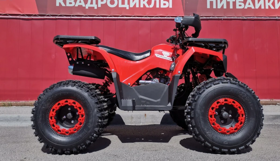 Квадроцикл PROMAX WILD 175 BASIC в Арзамасе