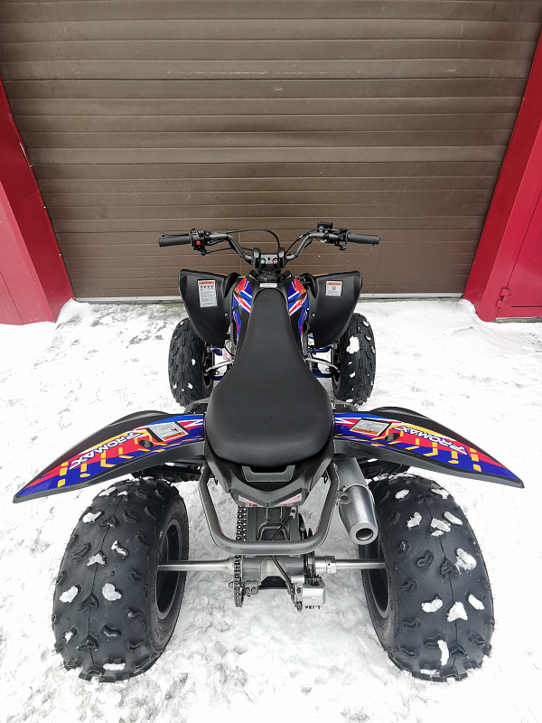 Квадроцикл PROMAX RAPTOR 300 NEW RedBull в Арзамасе