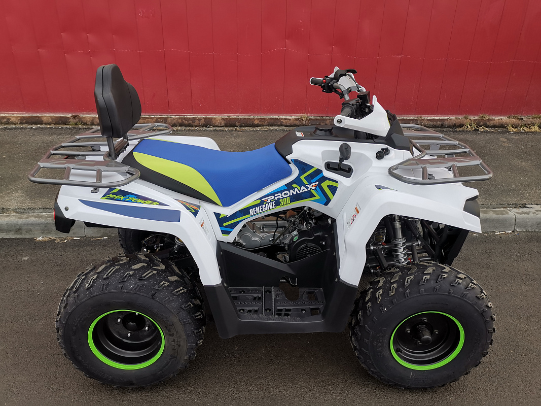 Квадроцикл PROMAX RENEGADE 280 LUX (2025) в Арзамасе
