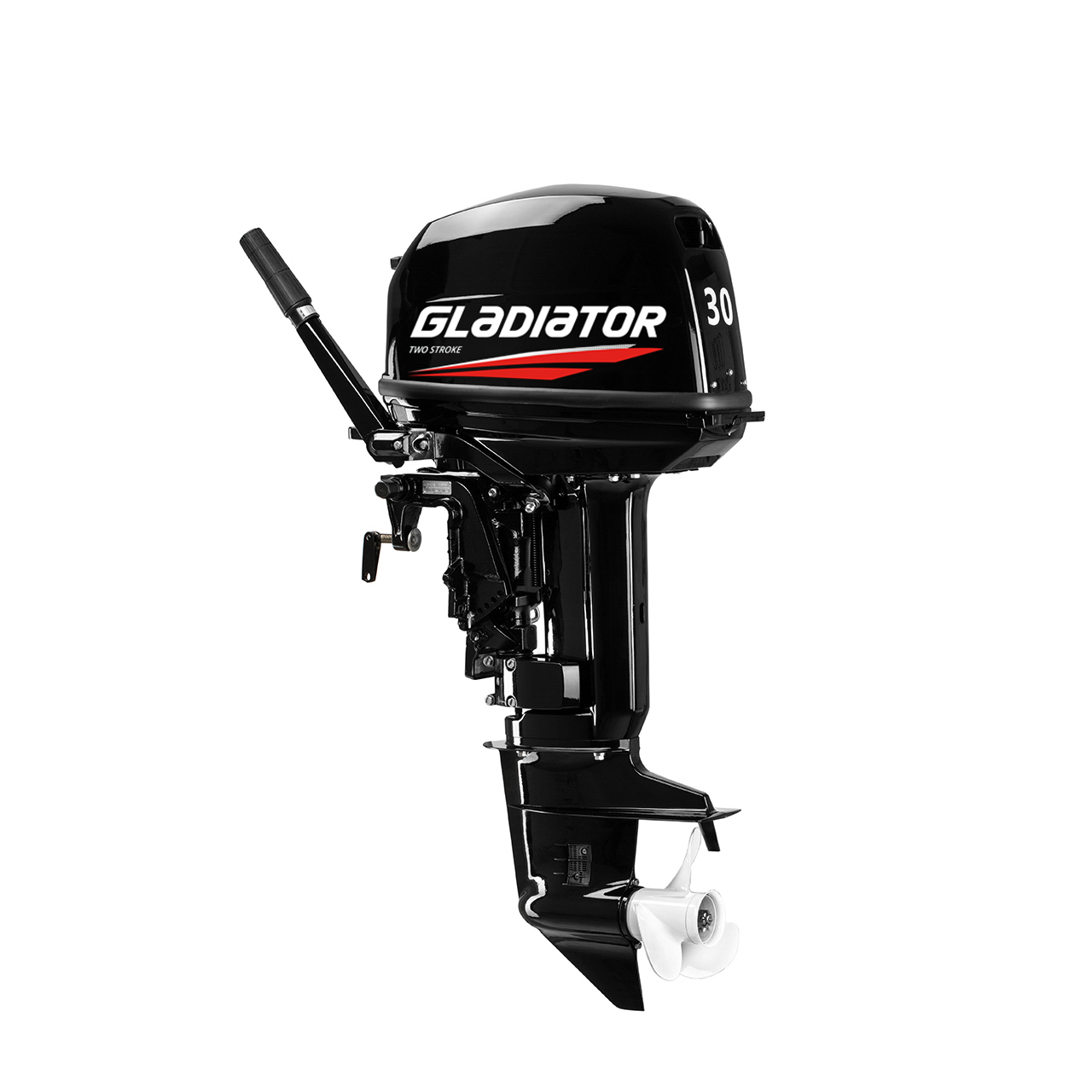 ЛОДОЧНЫЙ МОТОР GLADIATOR G30FHS в Арзамасе