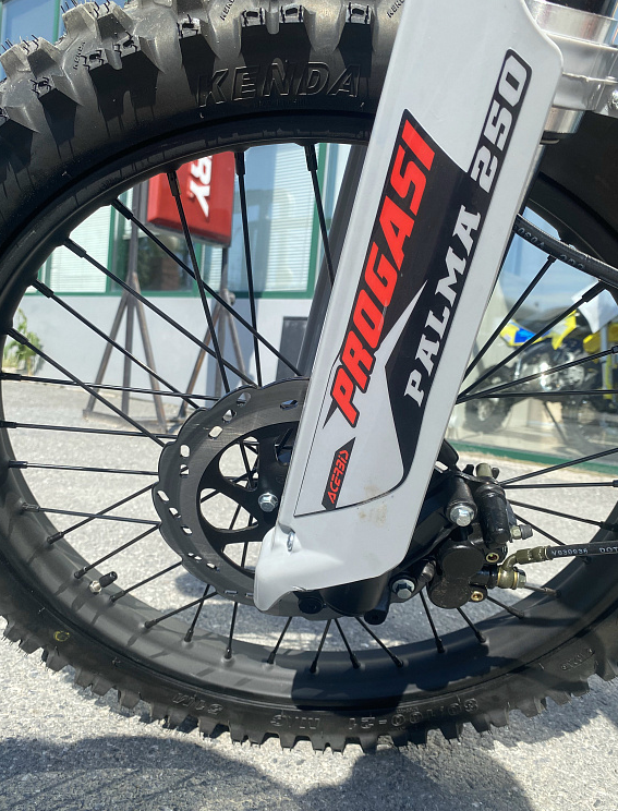 Мотоцикл Progasi PALMA 300 NEW (CB300F) в Арзамасе