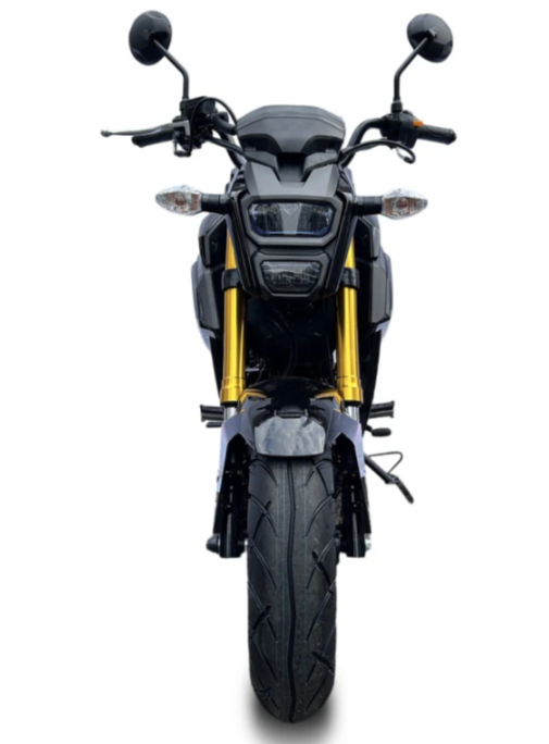 Мотоцикл PROMAX STRYKER 200(49) в Арзамасе