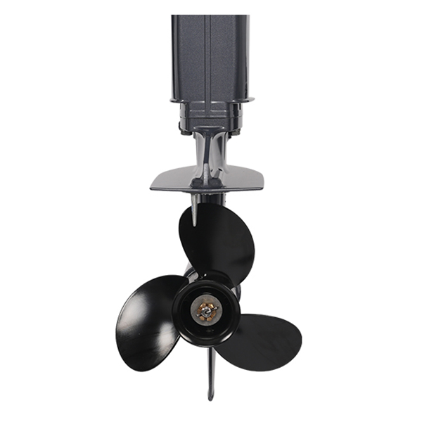 ЛОДОЧНЫЙ МОТОР ALLFA CG Т20 в Арзамасе