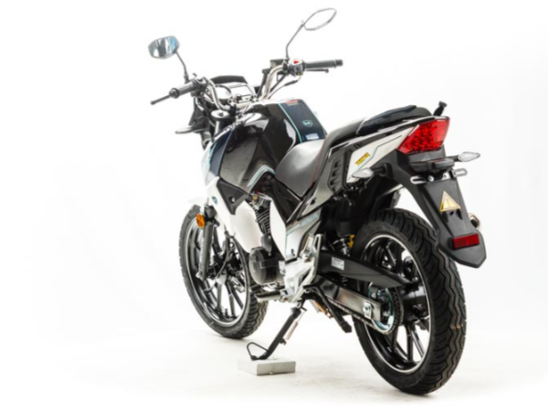 Мотоцикл MOTOLAND (МОТОЛЕНД) FIGHTER 250 в Арзамасе