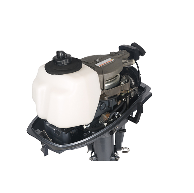 ЛОДОЧНЫЙ МОТОР ALLFA CG T5 в Арзамасе