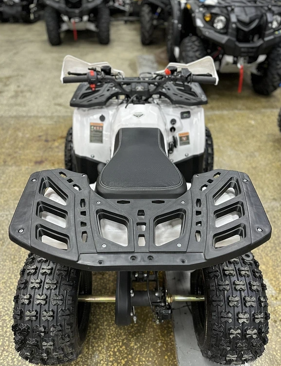 Квадроцикл PROMAX WILD 2.0 190 в Арзамасе