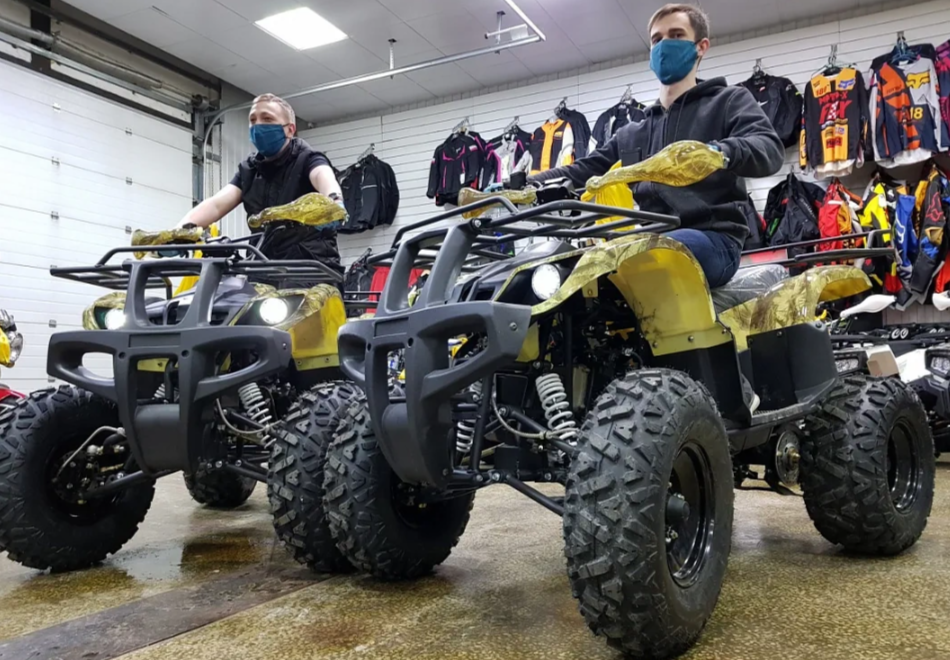 Квадроцикл PROMAX ATV 250 (2025) в Арзамасе