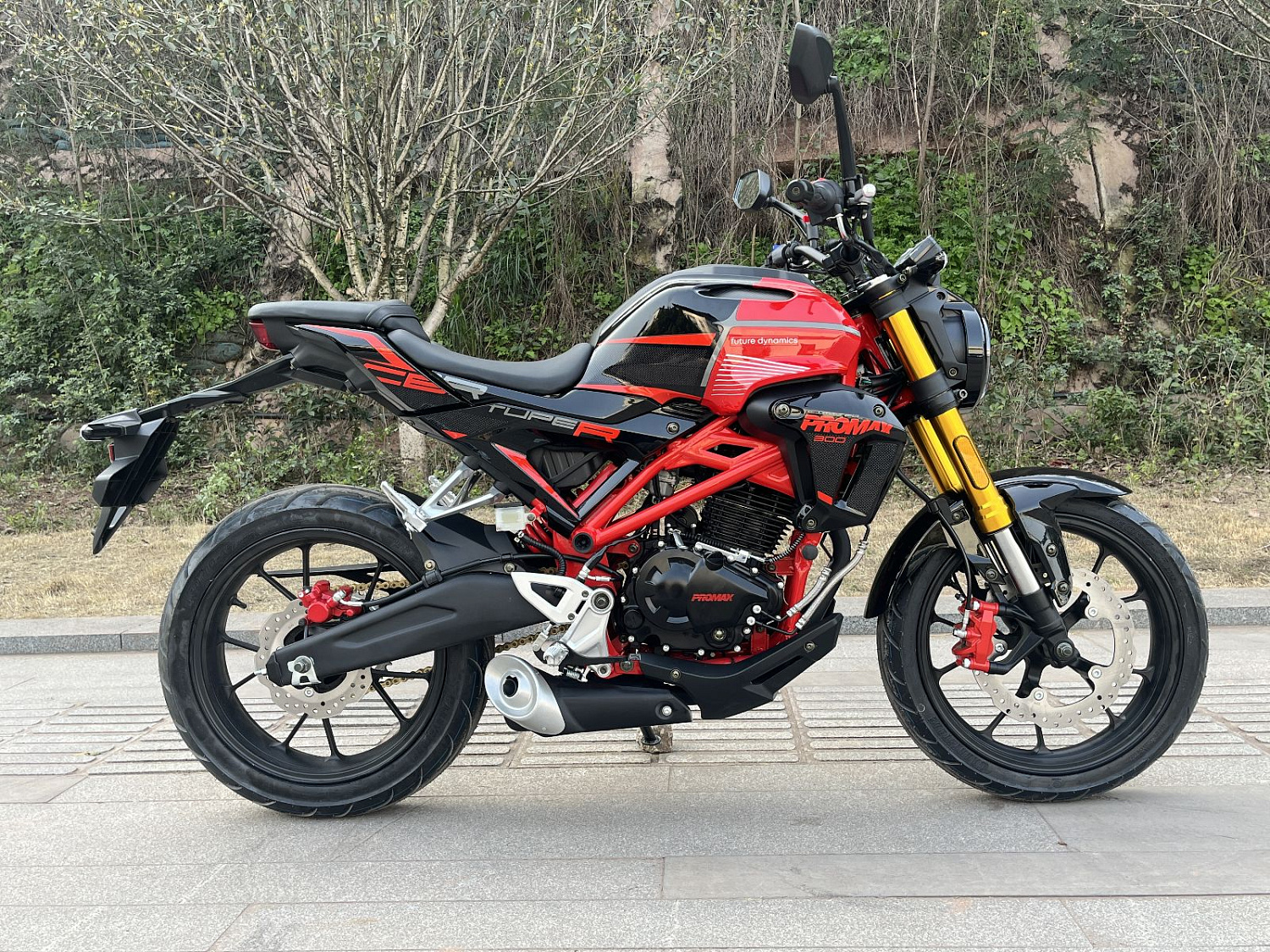 Мотоцикл PROMAX CB300 в Арзамасе