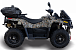 Квадроцикл HISUN TACTIC GT1000/EXTREME EDITION в Арзамасе