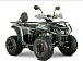Квадроцикл YACOTA DRAGON LUX LD 150 PRO-SPORT в Арзамасе