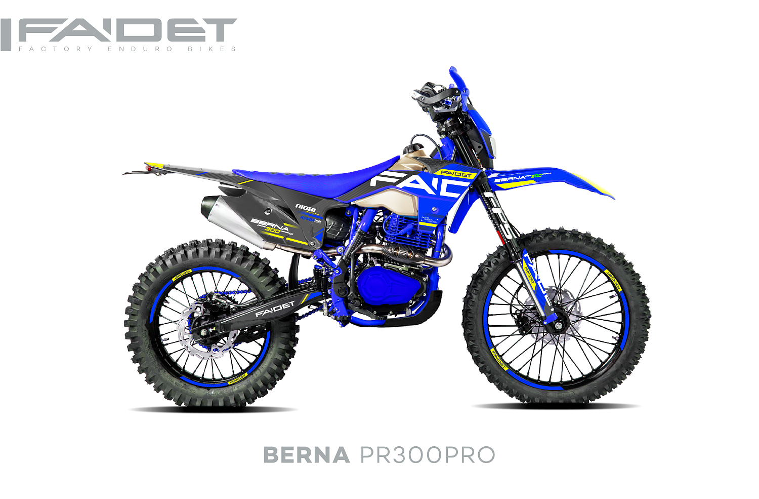 Кроссовый мотоцикл FAIDET BERNA PR300-PRO FPS в Арзамасе