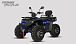 Квадроцикл PROMAX TAURUS 300 MAX-PRO LONG в Арзамасе