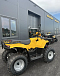 КВАДРОЦИКЛ IRBIS ATV 250  в Арзамасе