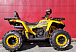 Квадроцикл PROMAX STORM 280 LUX в Арзамасе